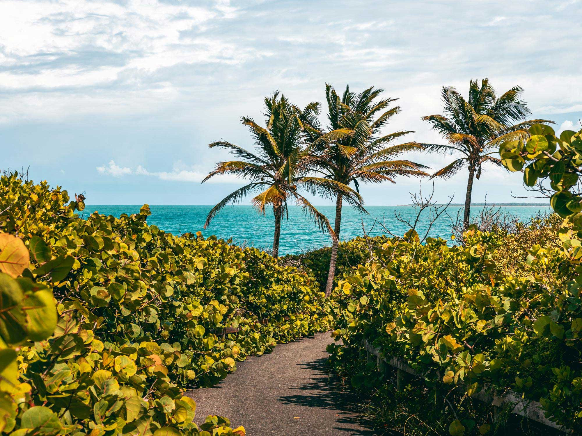Piñones Puerto Rico