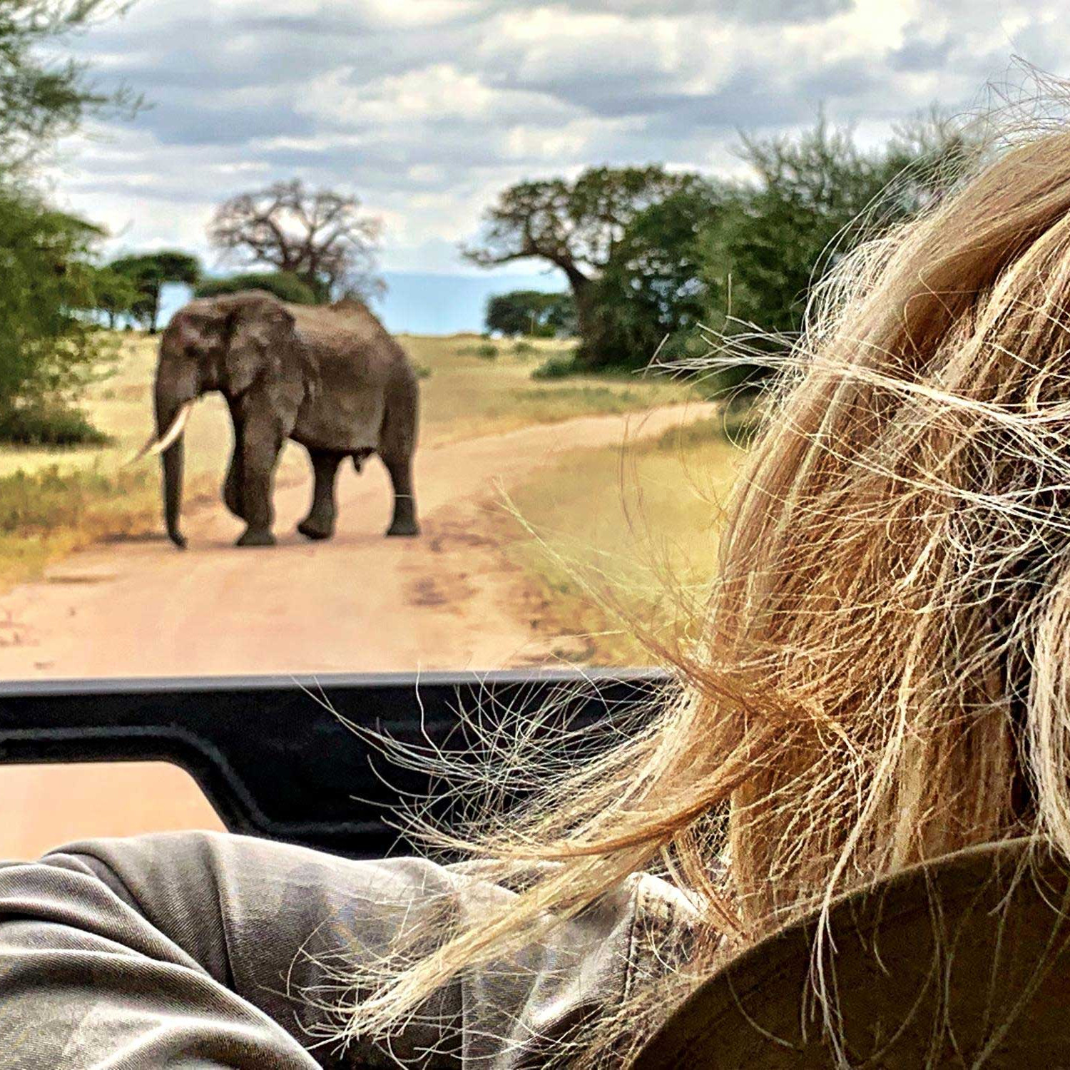 The Best Destinations For Wildlife Encounters