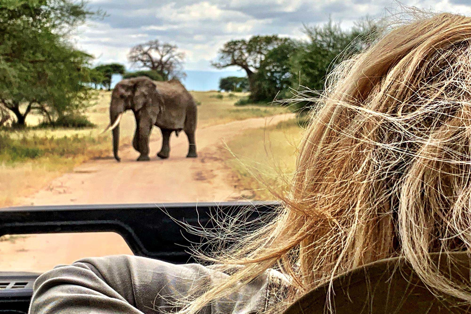 The Best Destinations For Wildlife Encounters
