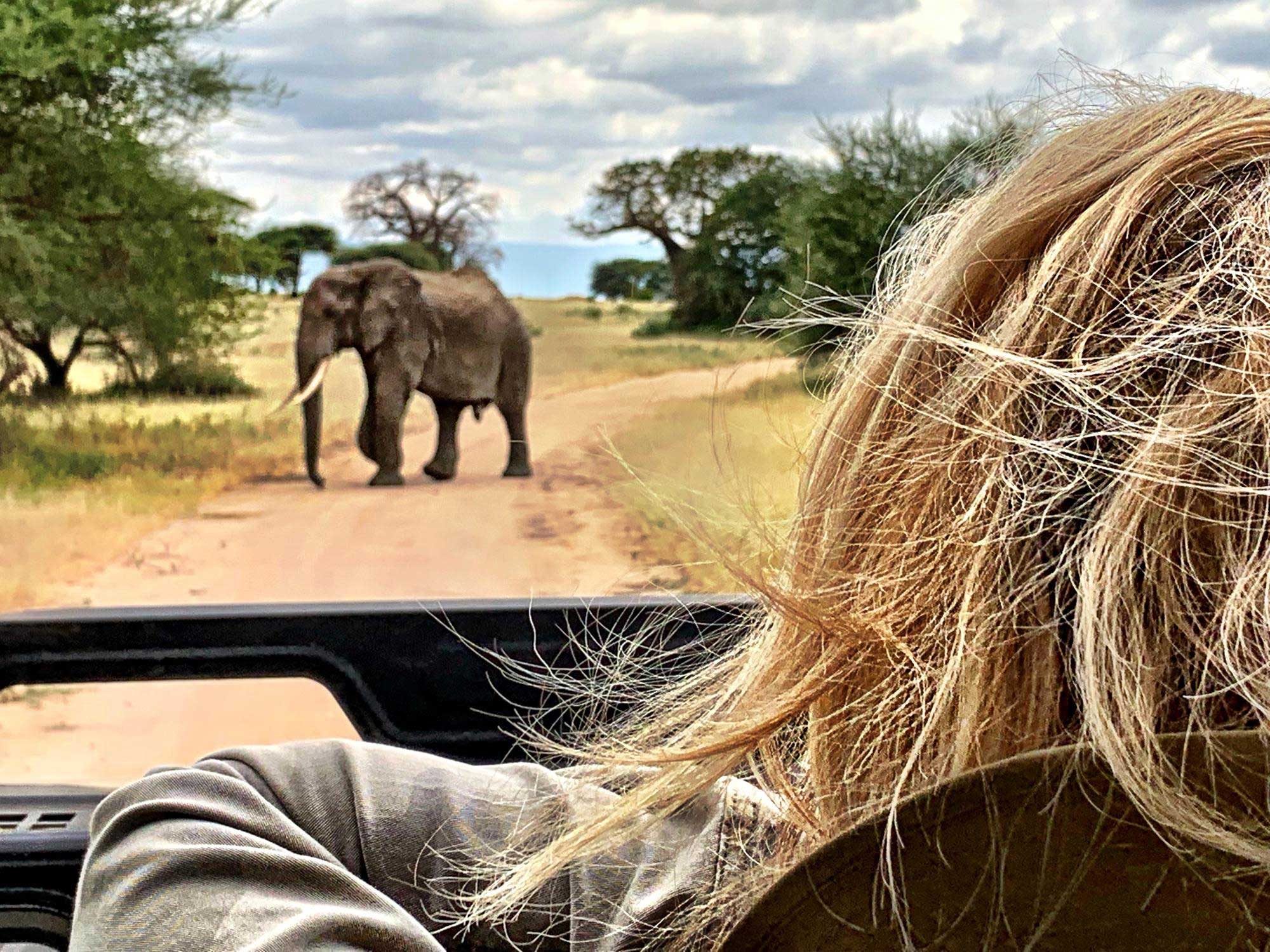 The Best Destinations For Wildlife Encounters