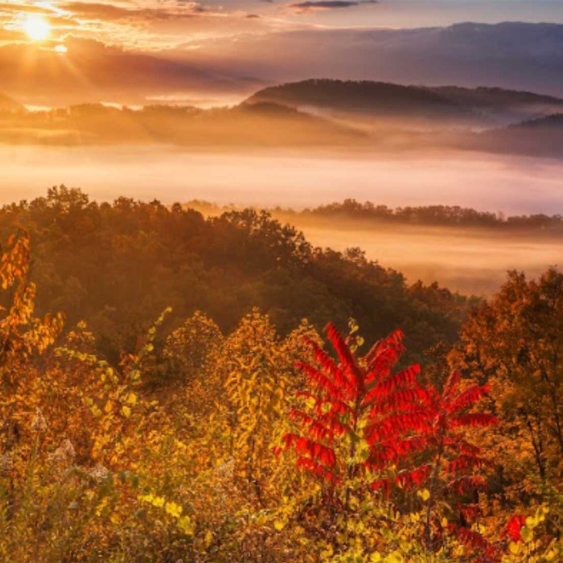 The Ultimate First-Timer’s Guide to the Great Smoky Mountains National Park