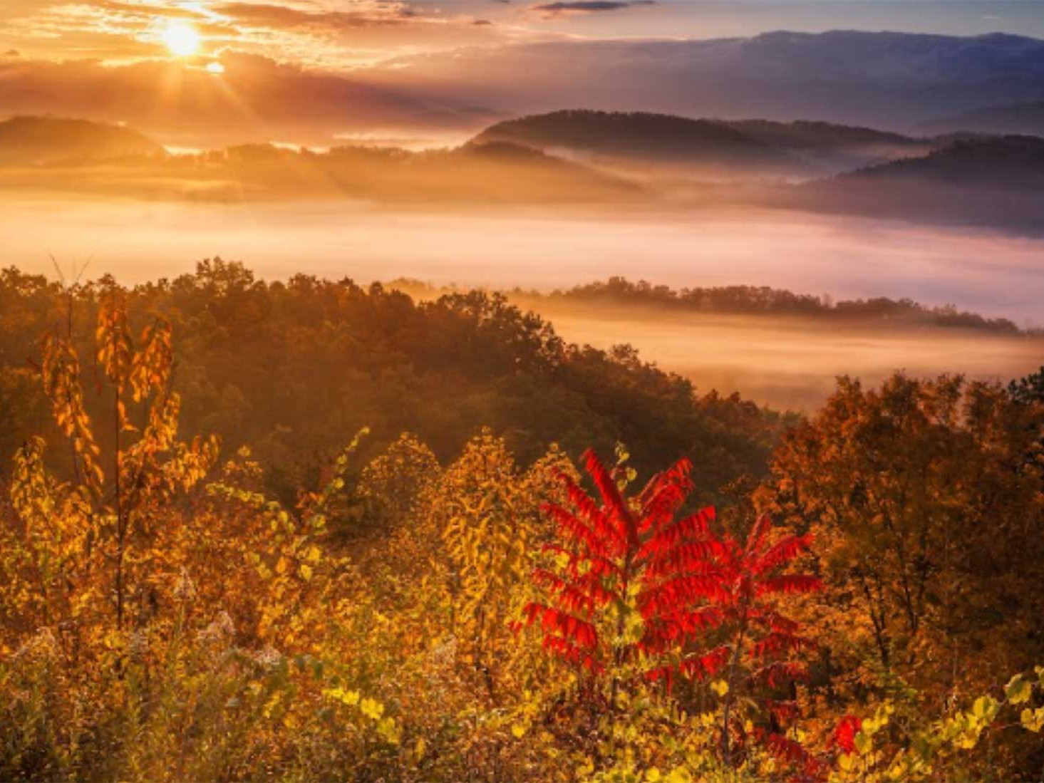 The Ultimate First-Timer’s Guide to the Great Smoky Mountains National Park