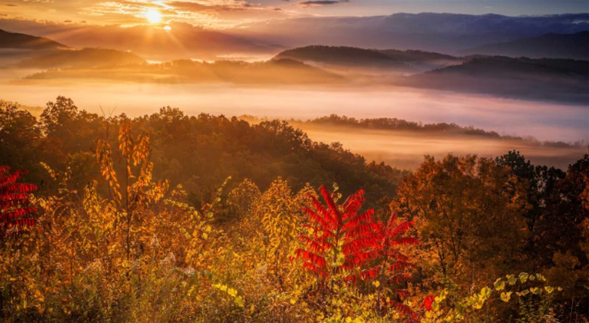 The Ultimate First-Timer’s Guide to the Great Smoky Mountains National Park
