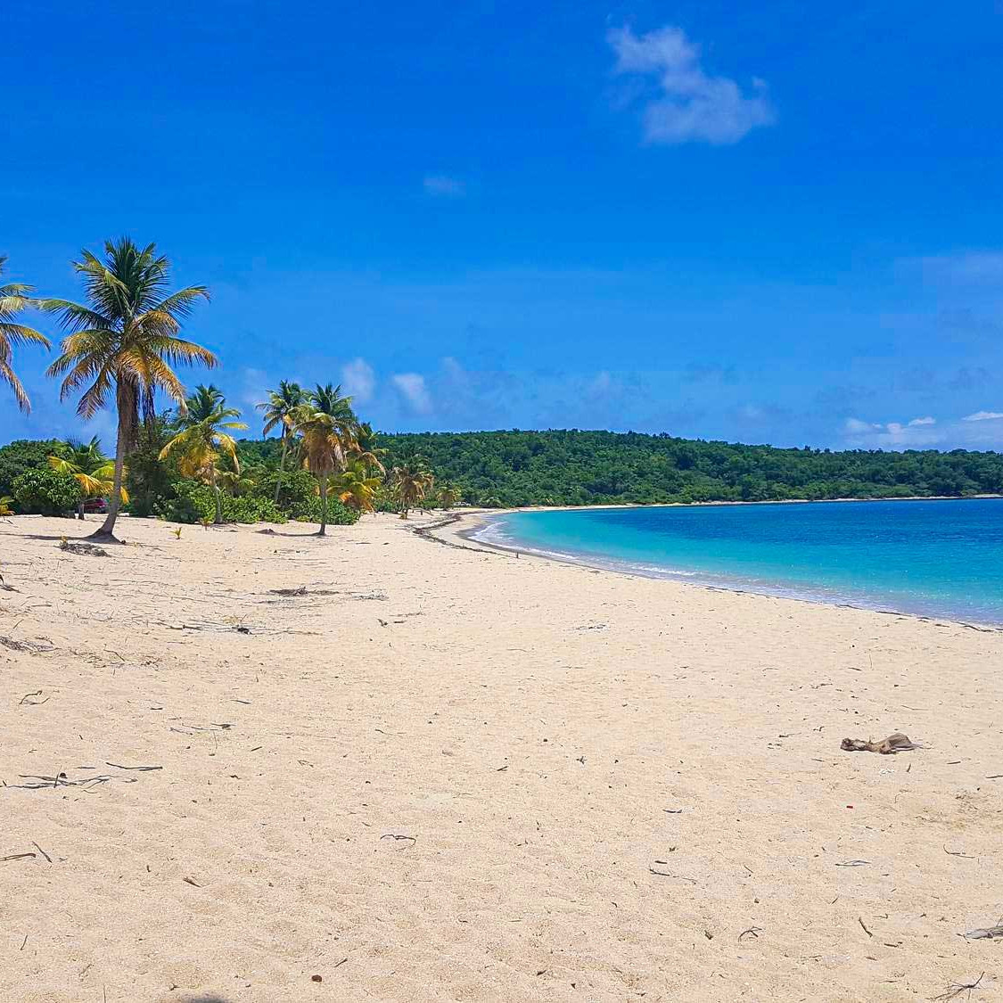 Vieques Island