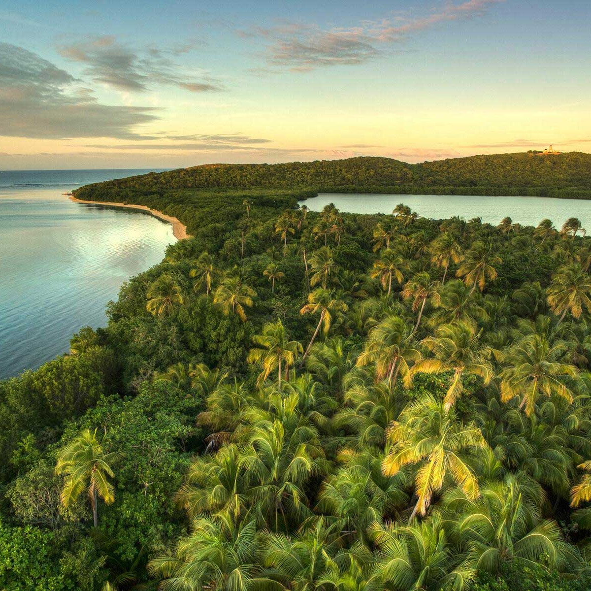 Attractions and things to do in Fajardo