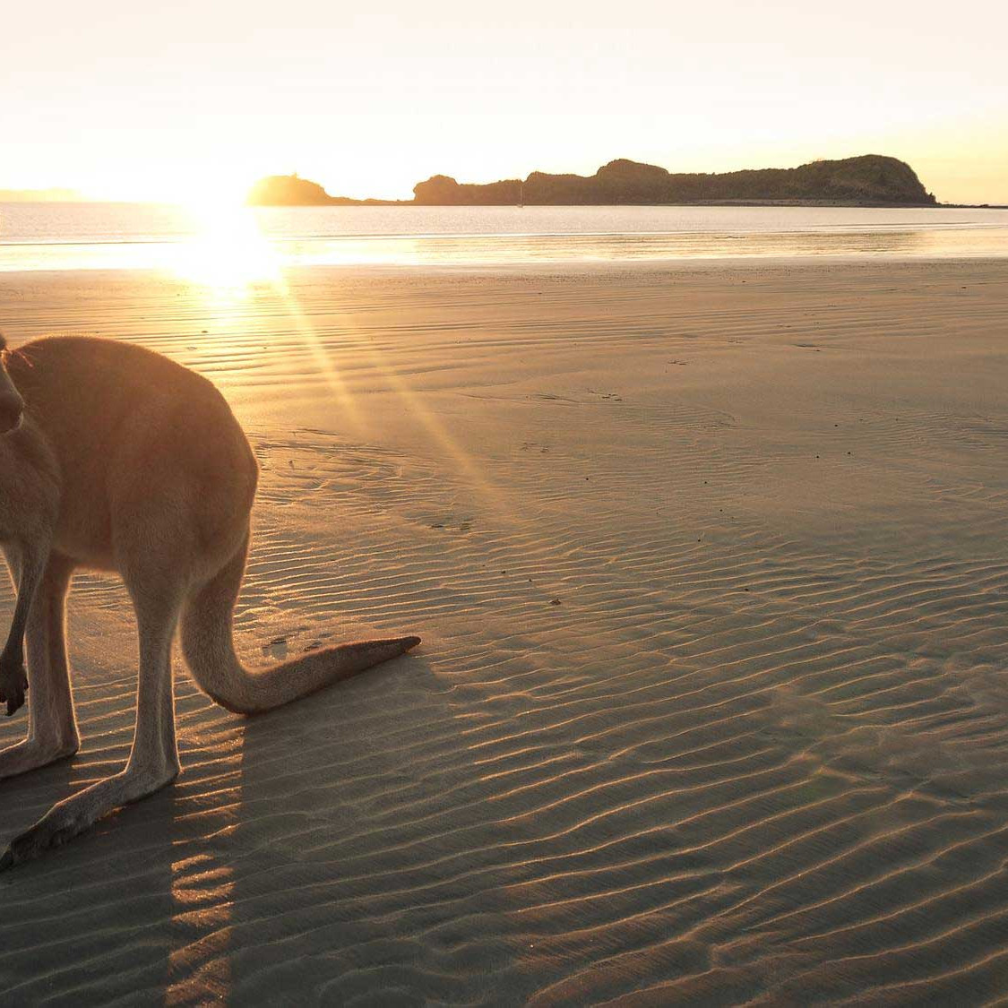 6 Australian Destinations That Feel Like a Dream Come True