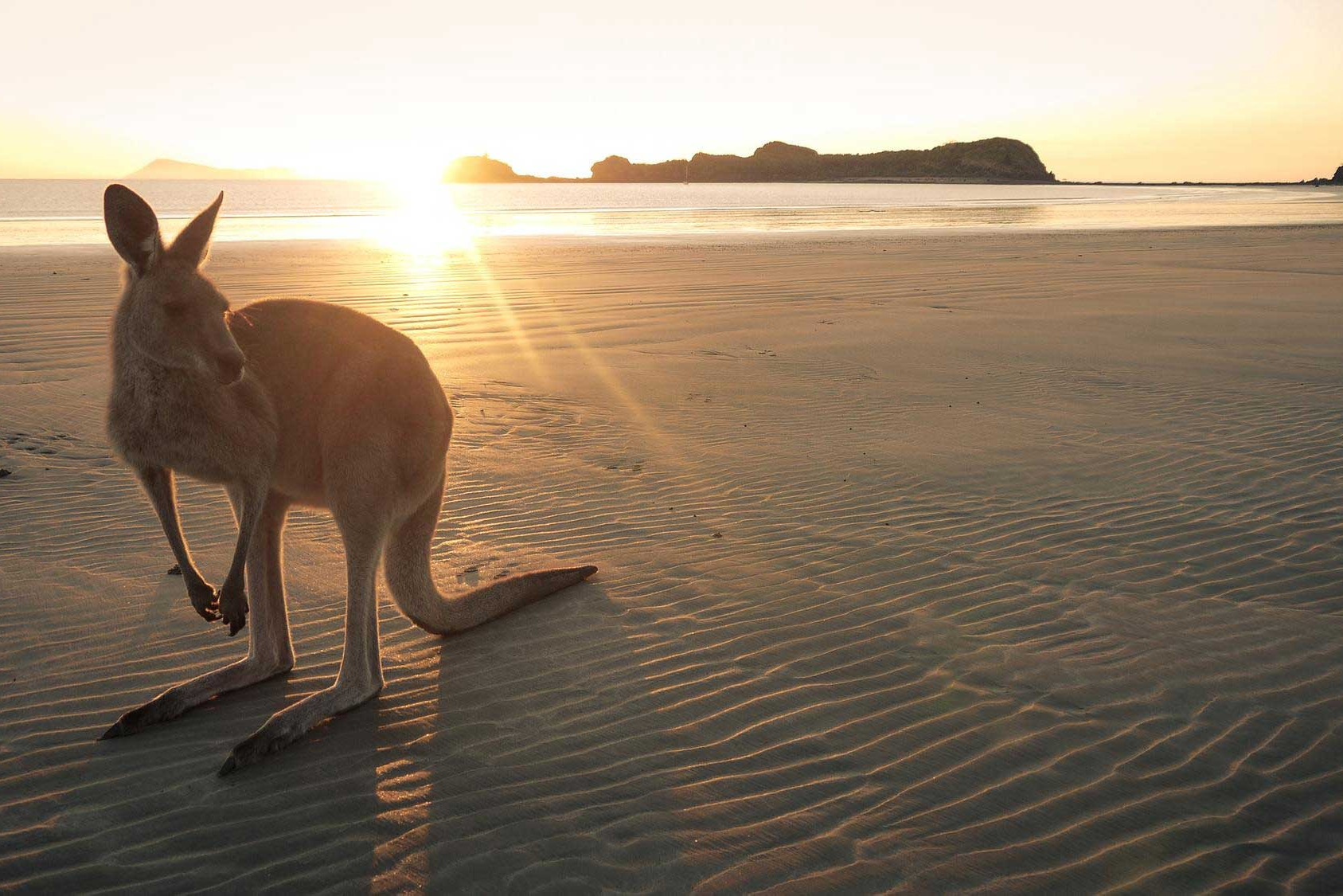 6 Australian Destinations That Feel Like a Dream Come True