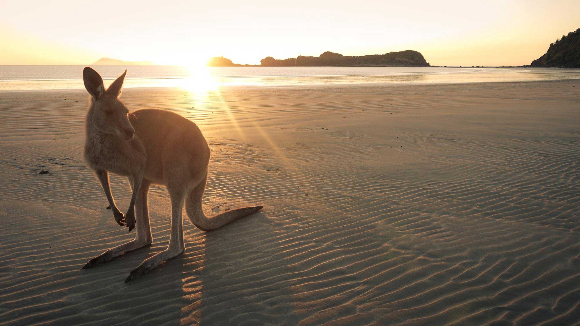 6 Australian Destinations That Feel Like a Dream Come True