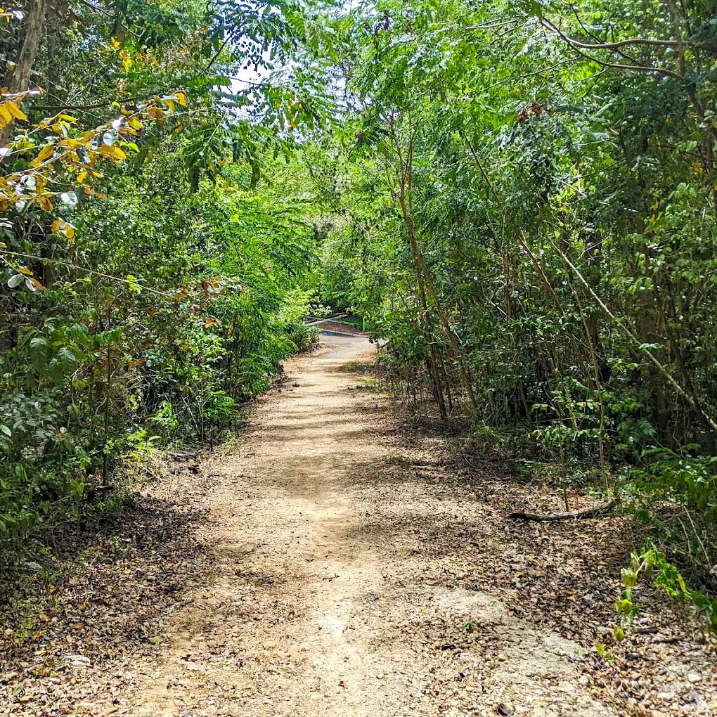Cambalache Forest Park