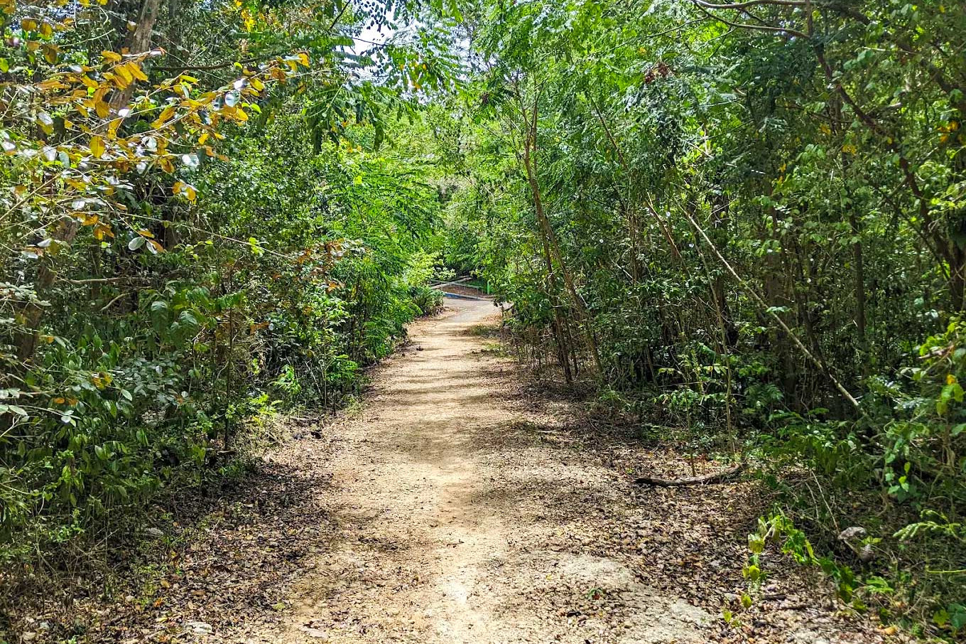 Cambalache Forest Park