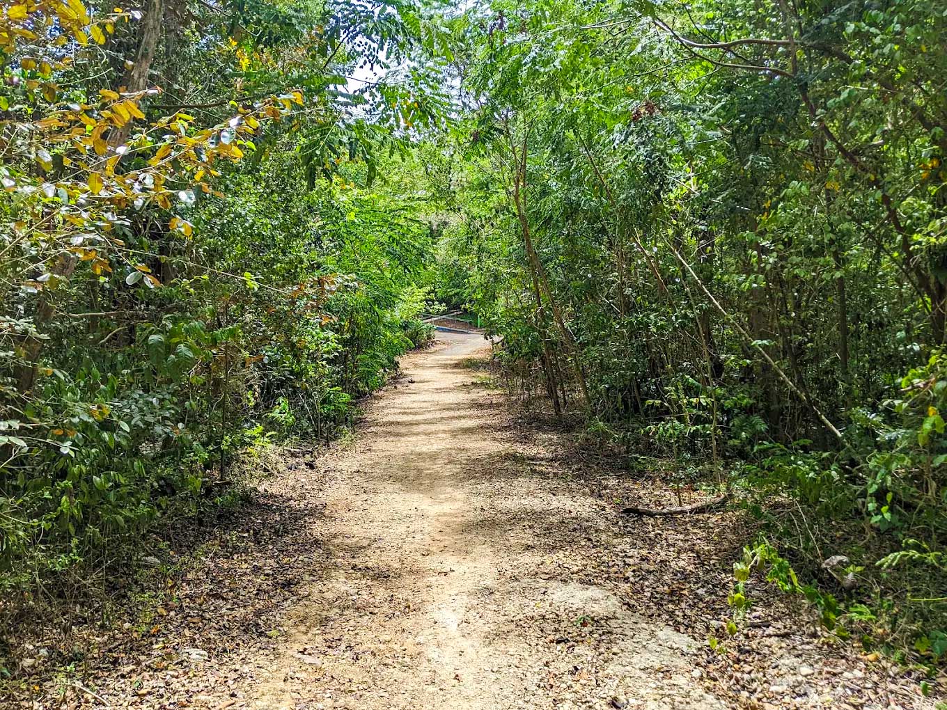 Cambalache Forest Park