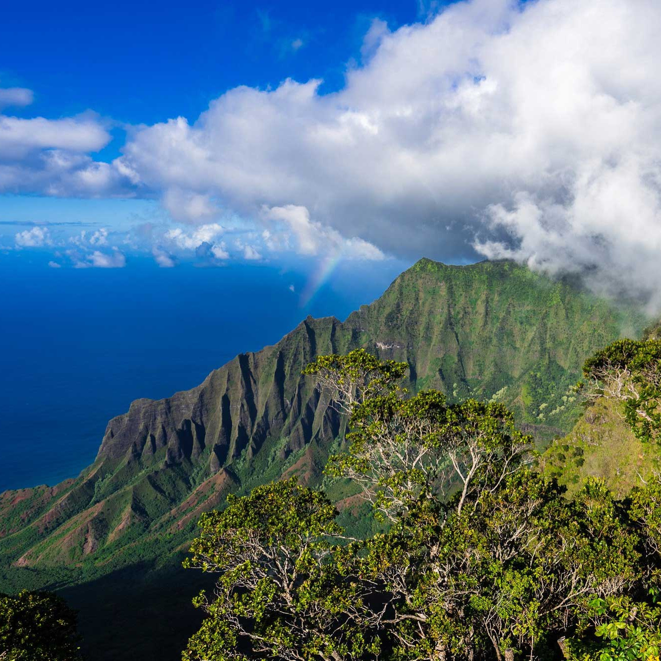 Garden Isle Adventures: Unearthing Kauai’s Hidden Gems
