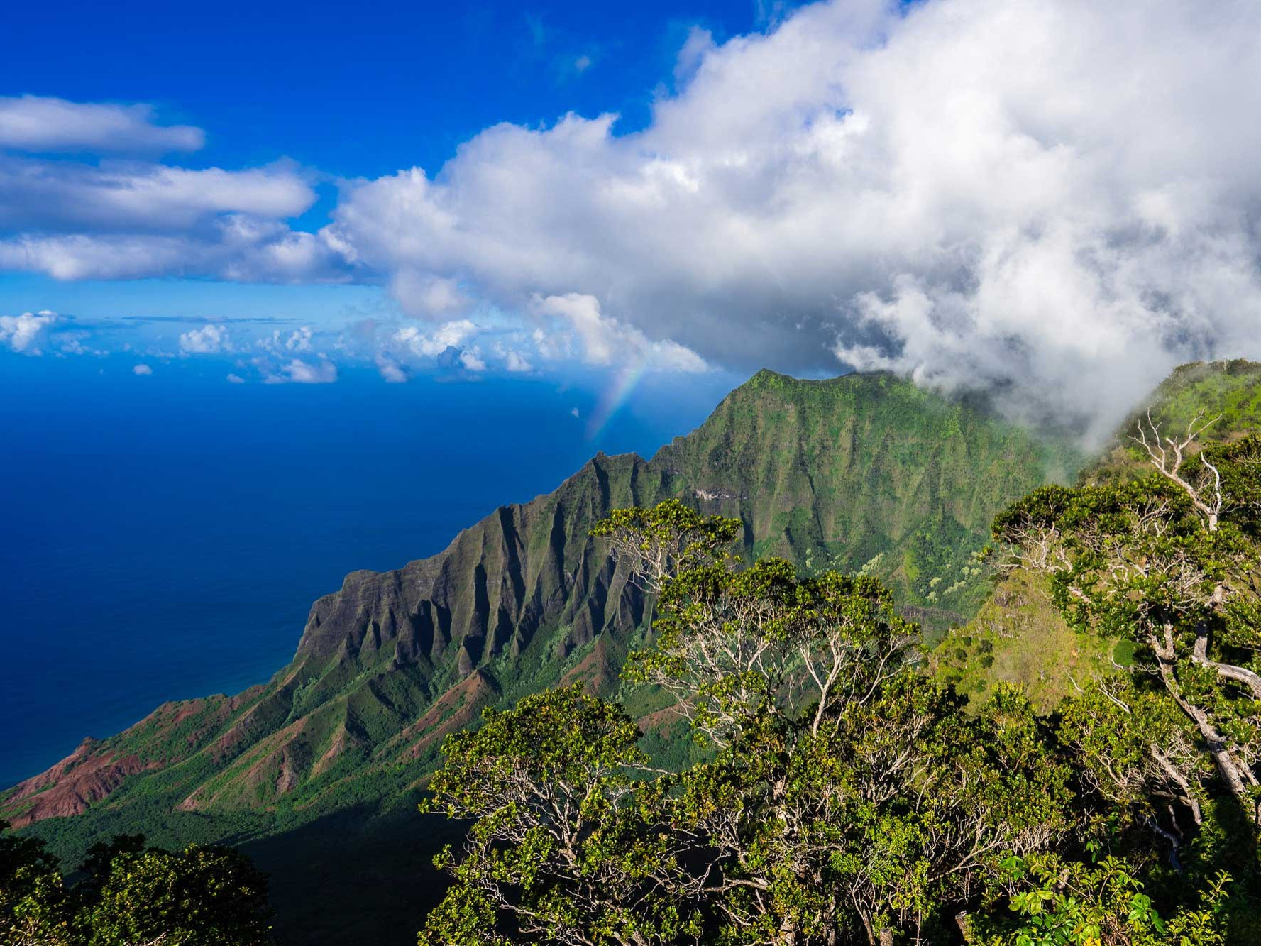 Garden Isle Adventures: Unearthing Kauai’s Hidden Gems