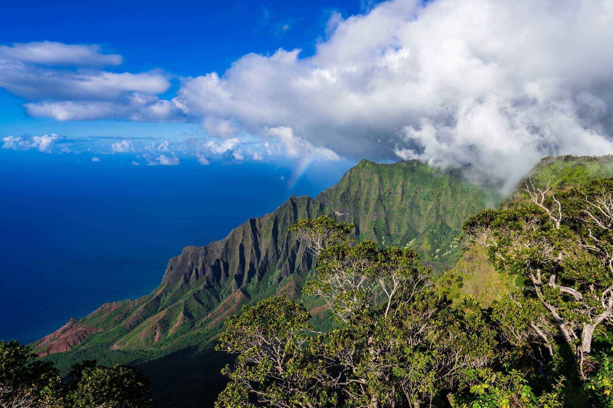 Garden Isle Adventures: Unearthing Kauai’s Hidden Gems