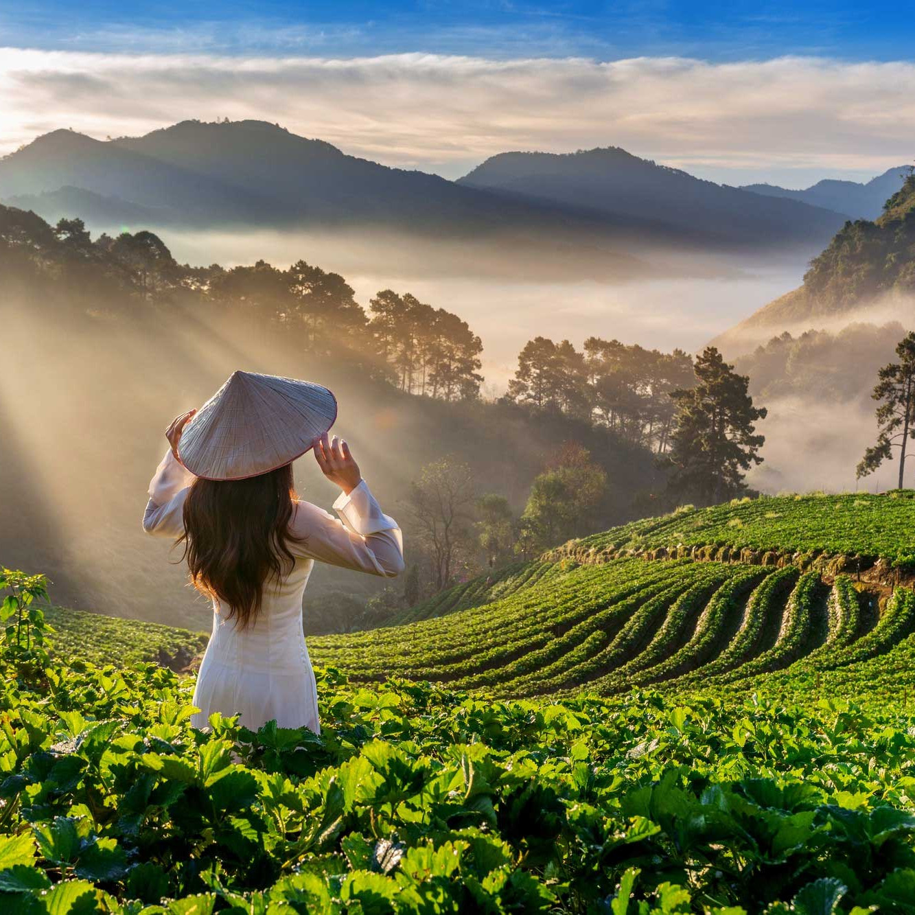 The Best Tourist Attractions in Vietnam