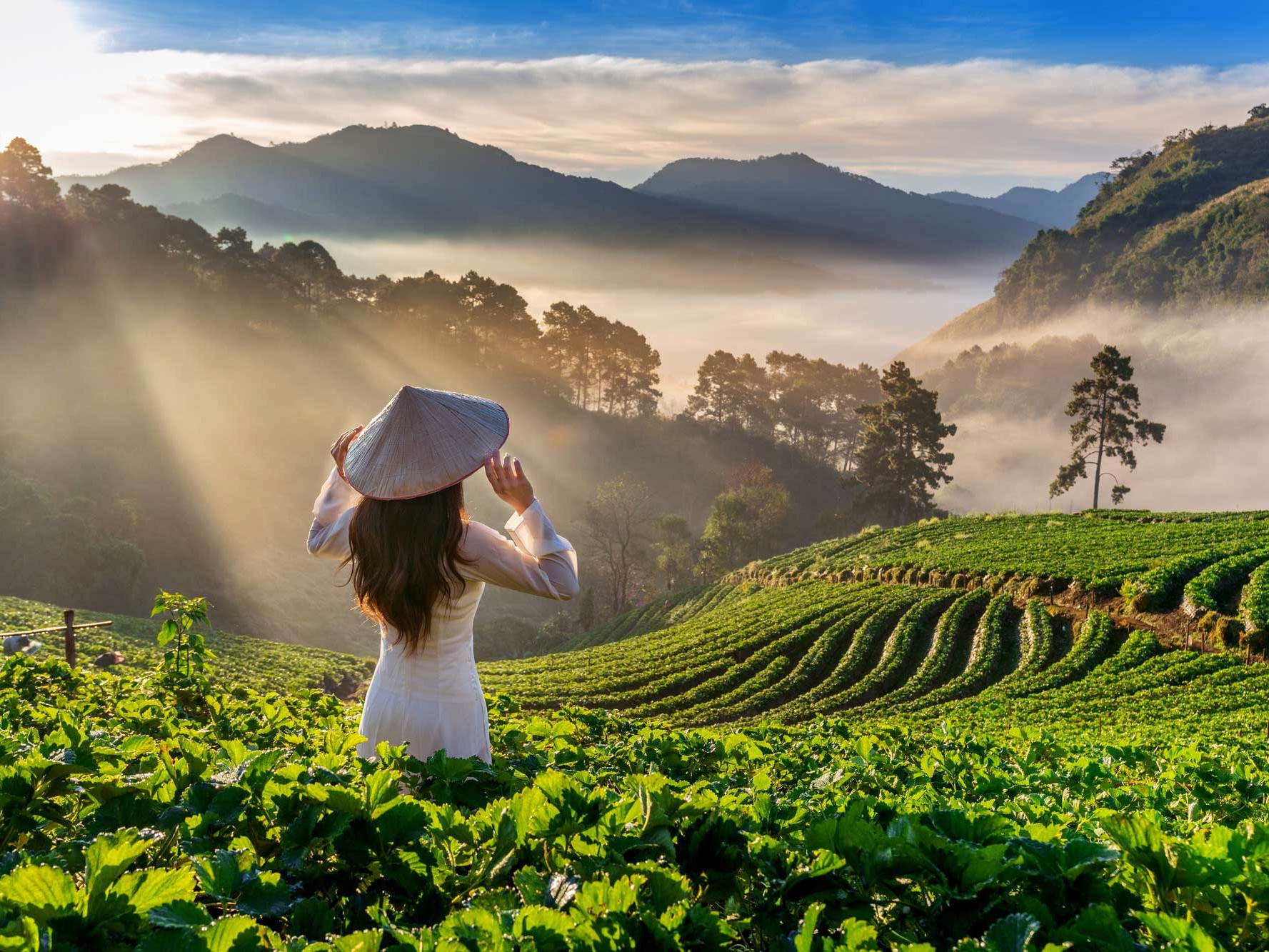 The Best Tourist Attractions in Vietnam