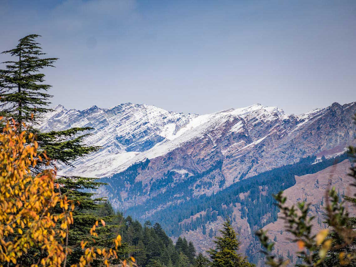 Fun Activities To Do While Traveling In The Himalayas