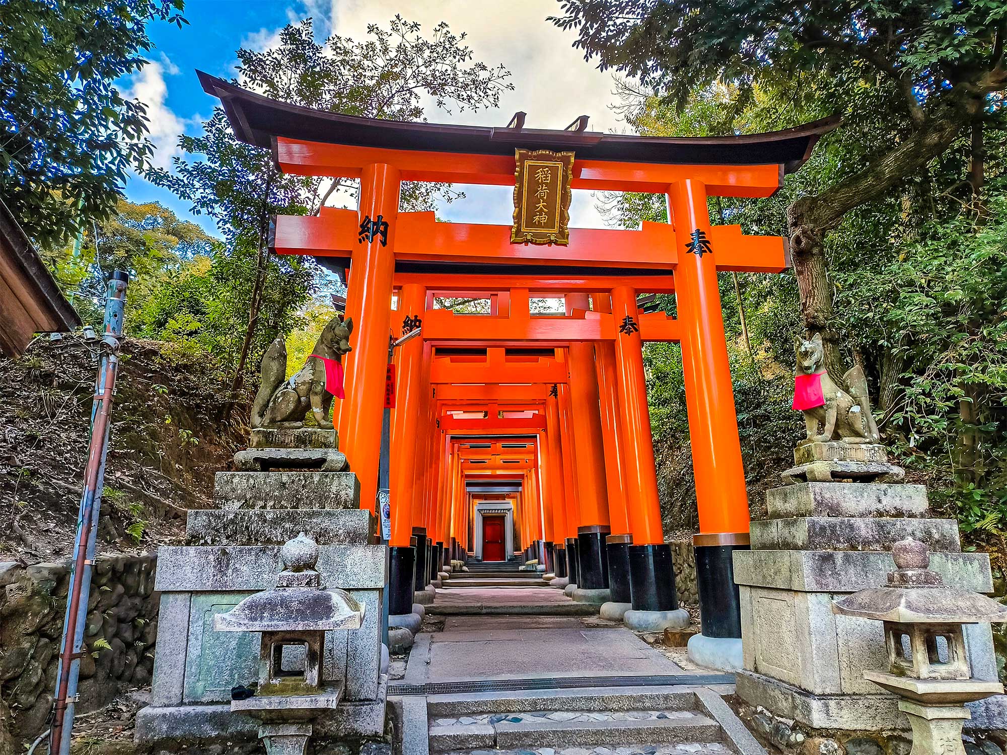 Fushimi Inari, Arashiyama Bamboo, and the Urban Energy of Osaka