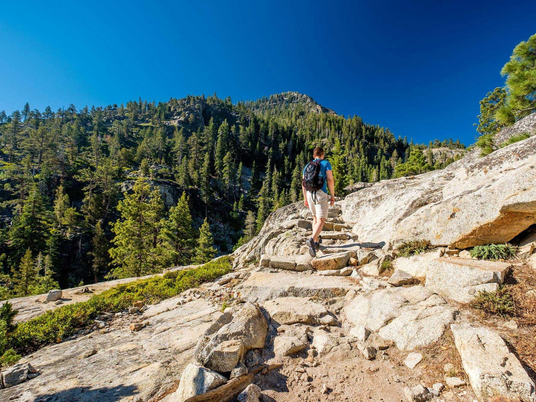 Why You Should Hire a Hiking Expert for Treks in Lake Tahoe