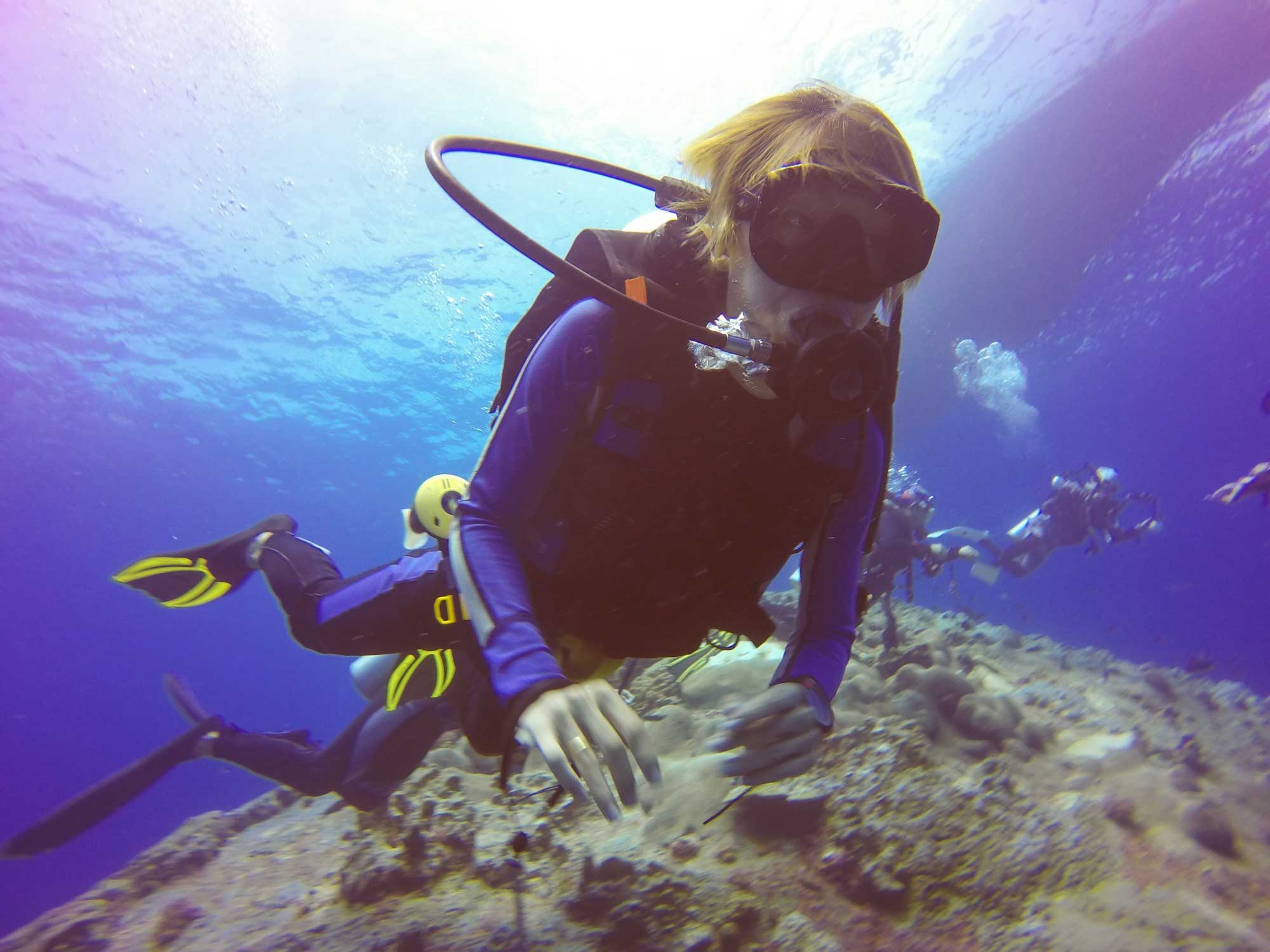 3 Key Things to Know Before Booking a 2-Tank Day Dive